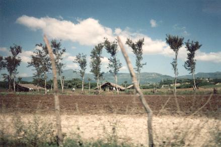Dominican farm land